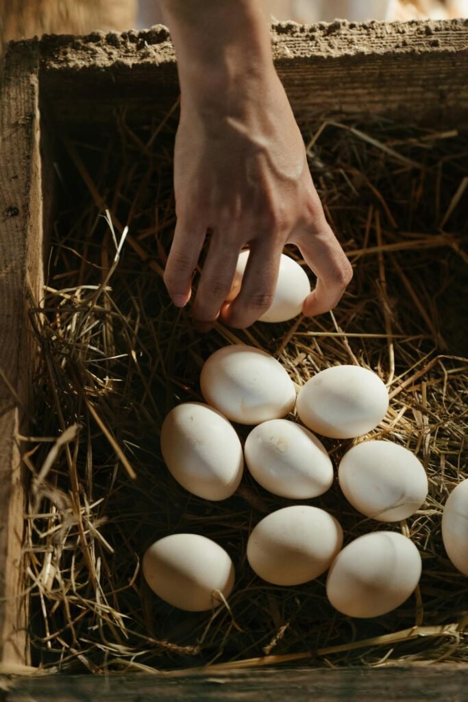 A hand collects fresh eggs from a rustic nest box filled with hay on a farm.